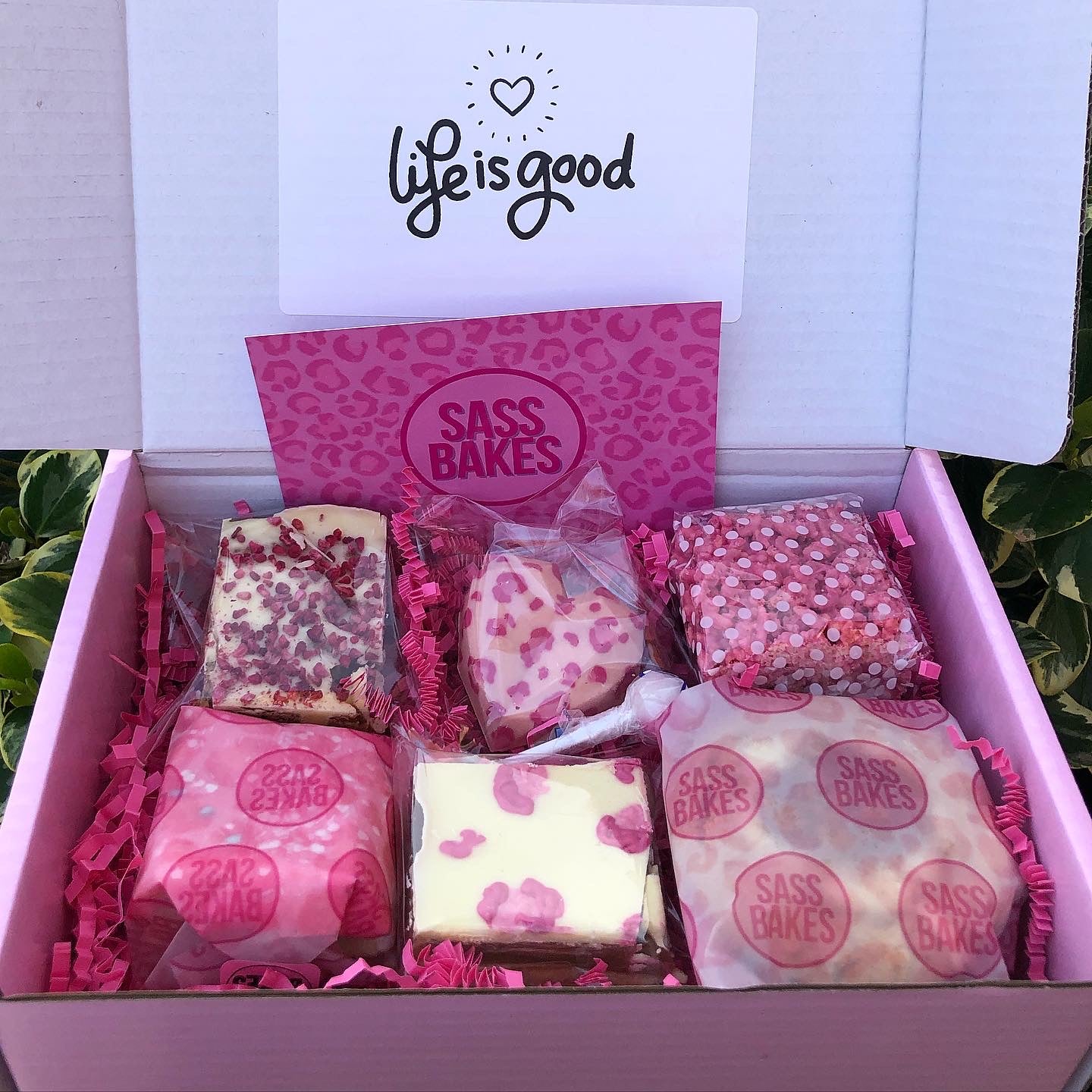 Best of ALL Worlds Box